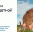 От регистрации ребёнка до оформления материнского капитала - Газета Районный вестник