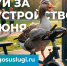 Проголосуй за благоустройство! - Газета Районный вестник