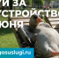 Примите участие в голосовании — ваше мнение важно! - Газета Районный вестник